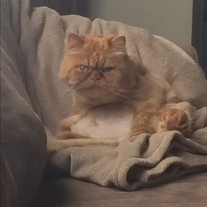 Meet your Posher, Melissa